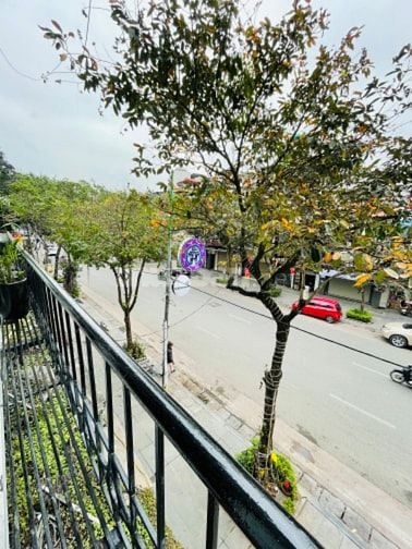 Căn hộ Triplex (thông 3,5 tầng)