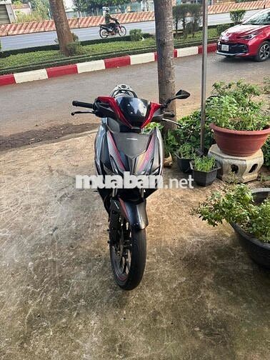 winer x sport ABS 2020