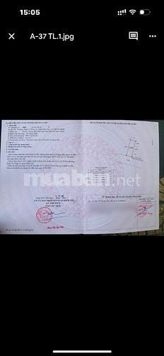Tin Hot! Bán lô đất nằm trong khu dân cư Tây Lân ngay chợ Mỹ Nga 3ty64