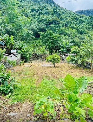 Chính chủ bán đất thổ cư view đẹp 