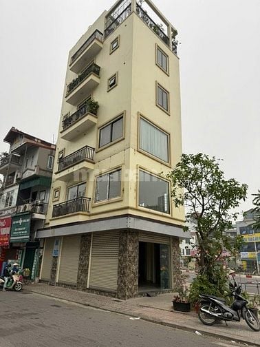 03 MẶT PHỐ- VỈA HÈ 6M RỘNG THOÁNG - KHU VỰC ĐÔNG ĐÚC - KINH DOANH ĐỈNH