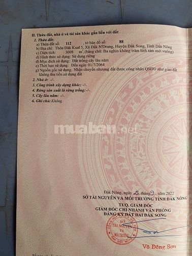 Chính chủ bán 3008m2 đất tại huyện Đắk Song, Đắk Nông giá chỉ 350tr