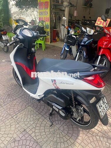 janus 2019 đẹp vĩnh long