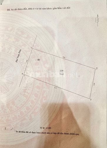 🇻🇳Mặt phố Ba Đình, Vỉa hè, Ô tô tránh, Gara 7 chỗ, 2 Thoáng, nở hậu