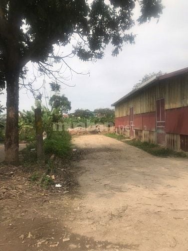 Bán Đất Phố Nhật Tảo, Bắc Từ Liêm ô tô vào đất 89m MT 6m 12.9 tỷ