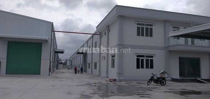 Cho thuê kho xưởng KCN PHÚ MỸ, BRVT 5500m2; 9440m2; 18800m2; 30000m2