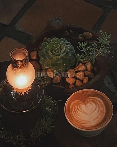 🔥 An Coffee🔥-Tuyển nhân viên bán cafe đồ uống nước giải khát  🎉🎉🎉