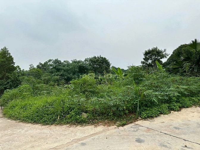 Chính chủ em bán mảnh đất đầu tư sinh lời