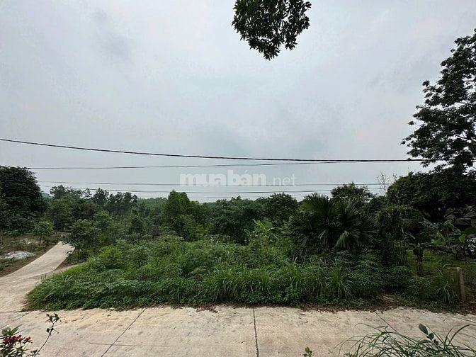 Chính chủ em bán mảnh đất đầu tư sinh lời