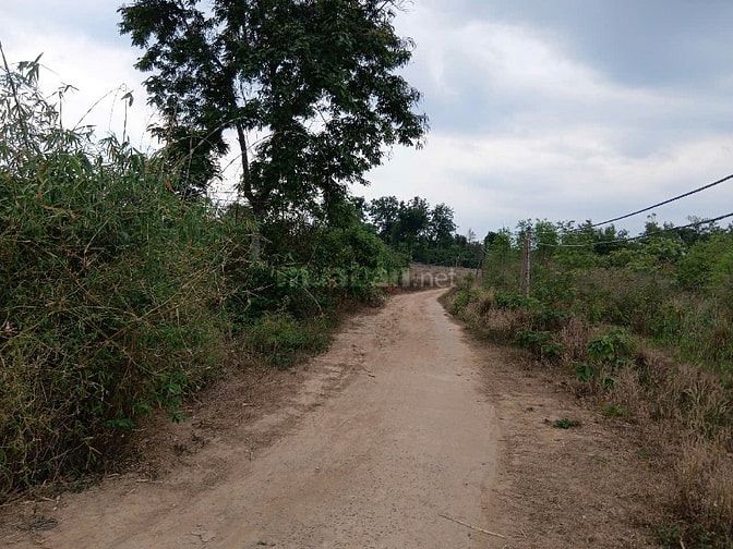 BÁN SIÊU RẺ LÔ ĐẤT MT ĐƯỜNG DÀI RỘNG THÍCH HỢP ĐẦU TƯ. XÃ EA DAH