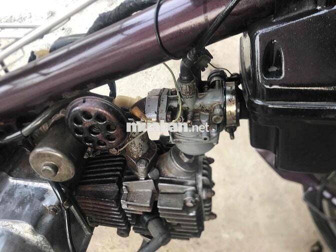 Gia Đình cần bán cup tôm 50cc