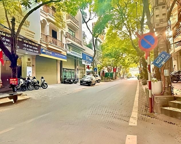 Lời ngay 500tr!Hộ khẩu Võ Văn Dũng 32m2*5T, phân lô VIP,KD 13ty6,thông