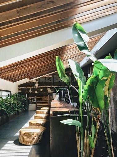 Cho thuê căn Duplex 62 Trần Hưng Đạo,PNL,Quận 1.DT 160m2 Giá 45 Tr 