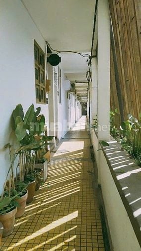 Cho thuê căn Duplex 62 Trần Hưng Đạo,PNL,Quận 1.DT 160m2 Giá 45 Tr 