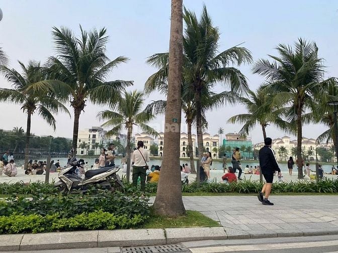 Cho thuê căn hộ 2 ngủ 2vs dự án Pavillion Premium Vinhome Ocien park