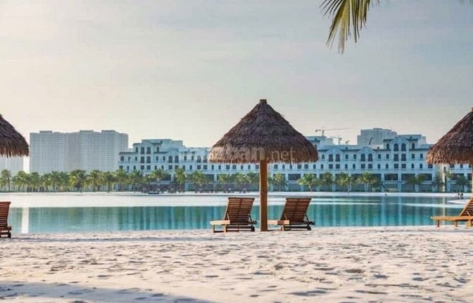 Cho thuê căn hộ 2 ngủ 2vs dự án Pavillion Premium Vinhome Ocien park