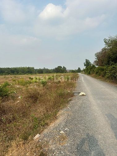 2200m2 có 5m2 thổ cư. Đường nhựa. Gần KCN. Giá 1,65 tỷ 