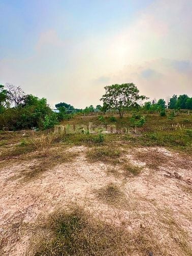 2200m2 có 5m2 thổ cư. Đường nhựa. Gần KCN. Giá 1,65 tỷ 