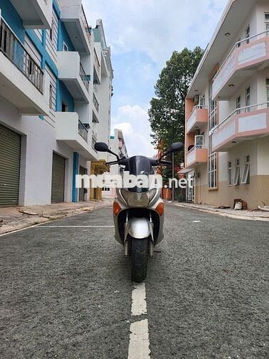 Xe Suzuki Avenis 150