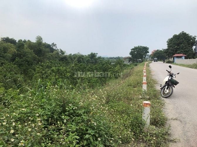 💥SỐC: BÁN ĐẤT KHỦNG 2912m² TẠI THỊNH ĐỨC – THÀNH PHỐ THÁI NGUYÊN