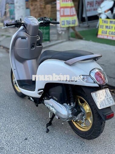 Scoppy indo 2019 siêu đẹp . HỖ TRỢ GÓP BAO ĐẬU