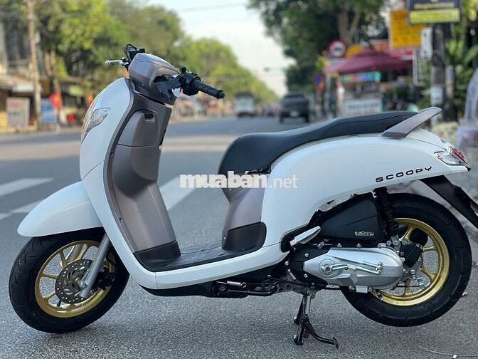 Scoppy indo 2019 siêu đẹp . HỖ TRỢ GÓP BAO ĐẬU