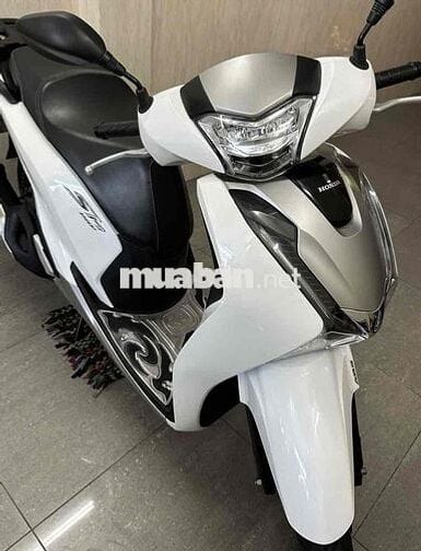 SH 150abs hàng bỏ mẫu cực chất