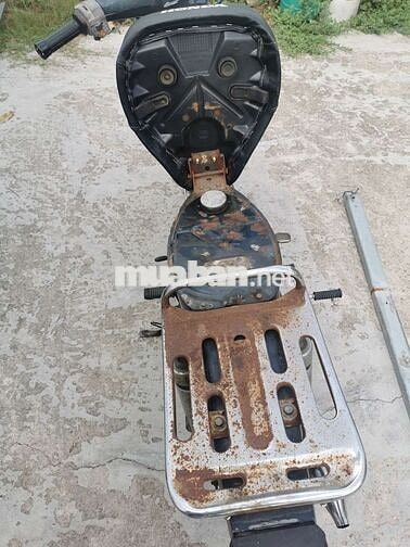 xe cúp 50cc đầu vuông gtdd