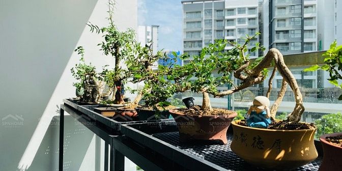 THIẾT KẾ THI CÔNG NỘI THẤT CĂN HỘ CHUNG CƯ