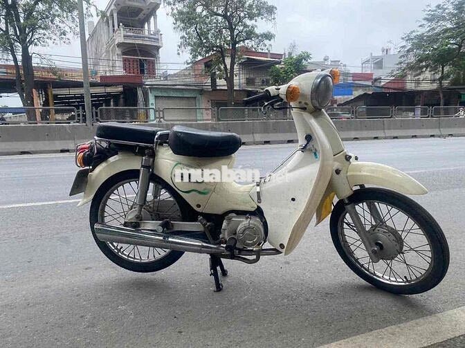Xe cup 50 đời cao zin đẹp như hình