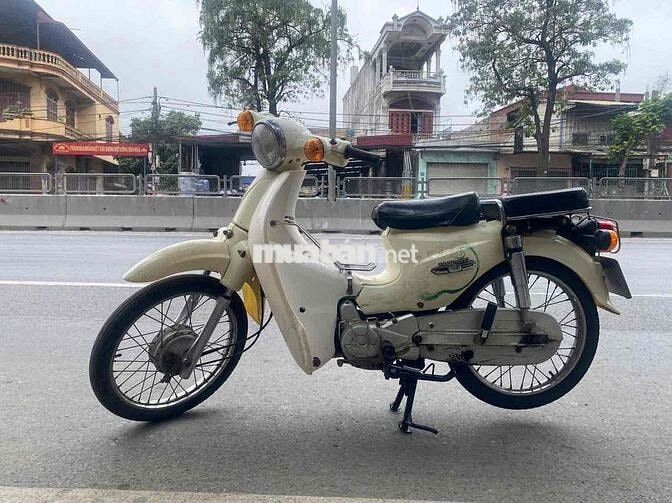 Xe cup 50 đời cao zin đẹp như hình
