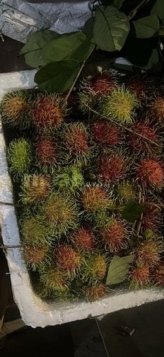 Tuyển nam phụ bán trái cây ưu tiên người Miền Tây 