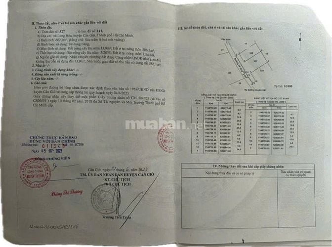 Khu đất full thổ cư 40m x 30m vuôn cực hiếm, hẻm 5m Duyên Hải, Cần Giờ