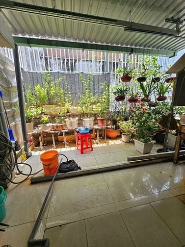 QUẬN 5 GIÁ ĐẦU 8 SIÊU HIẾM, TRẦN HƯNG ĐẠO DT ĐỦ 71M2 NGANG 4M 4 TẦNG.