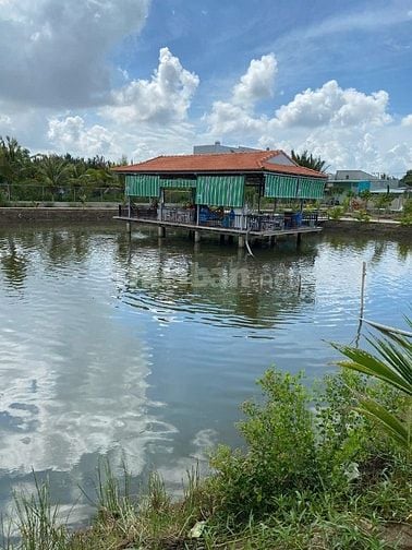 BIỆT THỰ SÂN VƯỜN 3,500 M2 - XÃ PHƯỚC LẠI, CẦN GIUỘC, LONG AN