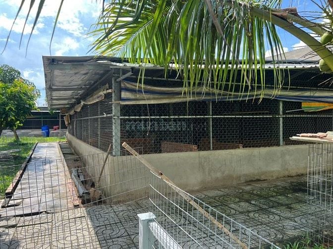 BIỆT THỰ SÂN VƯỜN 3,500 M2 - XÃ PHƯỚC LẠI, CẦN GIUỘC, LONG AN