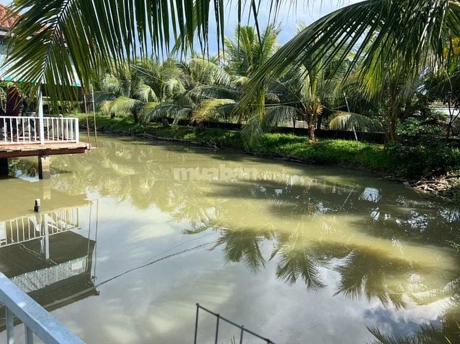 BIỆT THỰ SÂN VƯỜN 3,500 M2 - XÃ PHƯỚC LẠI, CẦN GIUỘC, LONG AN