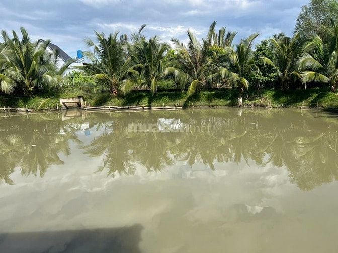 BIỆT THỰ SÂN VƯỜN 3,500 M2 - XÃ PHƯỚC LẠI, CẦN GIUỘC, LONG AN