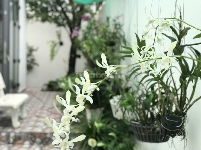 Bán biệt thự KDC 10 mẫu, P. Bình Trưng Đông, Quận 2 cũ, Thành phố Thức