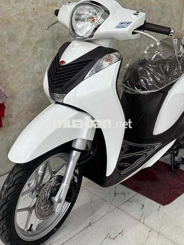 SH moden khoá ga 2018 màu trắng mới keng 43C1-913.