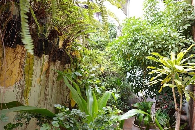 Cho thuê nhà mặt phố siêu đắc địa - ngã 3 Quan Nhân & Hoàng Ngân.