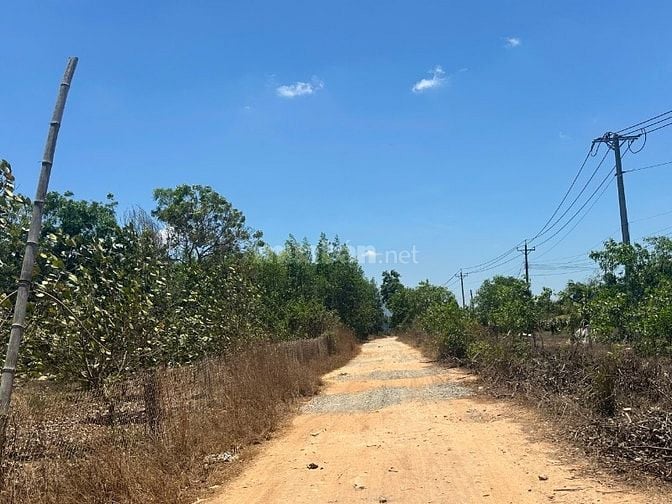 1,6 Mẫu Lô Góc View Hồ, Mt Nguyễn Minh Châu Tân Tiến Giá Ngộp