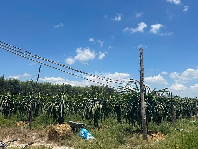 1,6 Mẫu Lô Góc View Hồ, Mt Nguyễn Minh Châu Tân Tiến Giá Ngộp