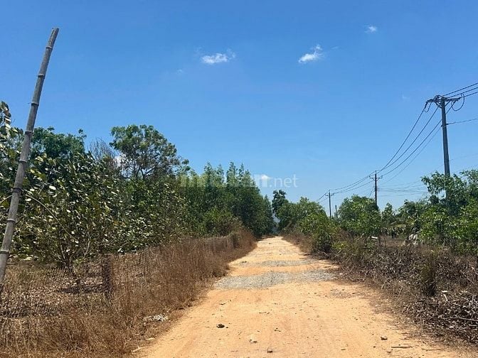 1,6 Mẫu Lô Góc View Hồ, Mt Nguyễn Minh Châu Tân Tiến Giá Ngộp