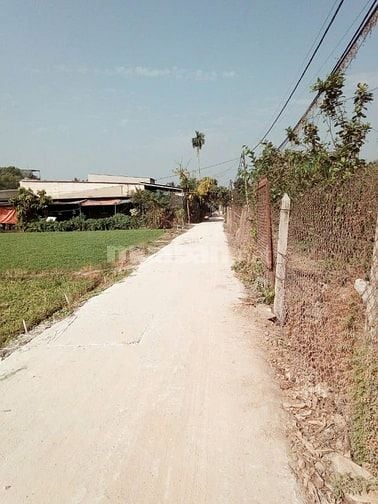Kẹt tiền bán gấp lô đất xã bình Mỹ huyện Củ Chi 