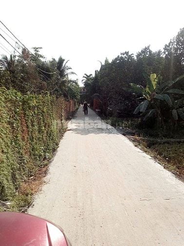 Kẹt tiền bán gấp lô đất xã bình Mỹ huyện Củ Chi 