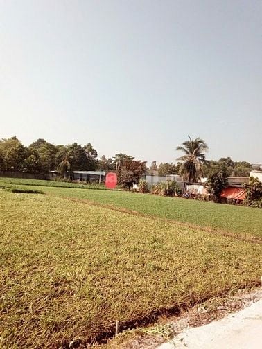 Kẹt tiền bán gấp lô đất xã bình Mỹ huyện Củ Chi 