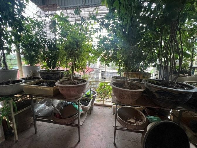 Chính Chủ Cho thuê Nhà 5 tầng ngõ 290 Kim Mã, Ba Đình, DTSD 200 m2