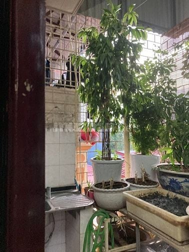 Chính Chủ Cho thuê Nhà 5 tầng ngõ 290 Kim Mã, Ba Đình, DTSD 200 m2