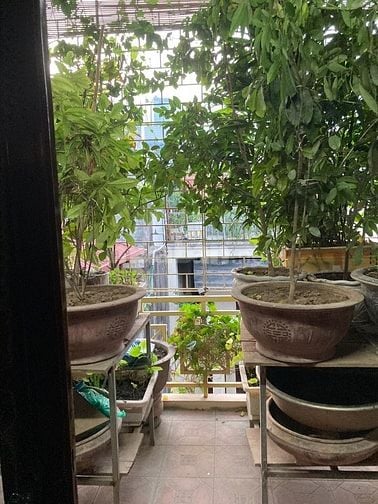 Chính Chủ Cho thuê Nhà 5 tầng ngõ 290 Kim Mã, Ba Đình, DTSD 200 m2
